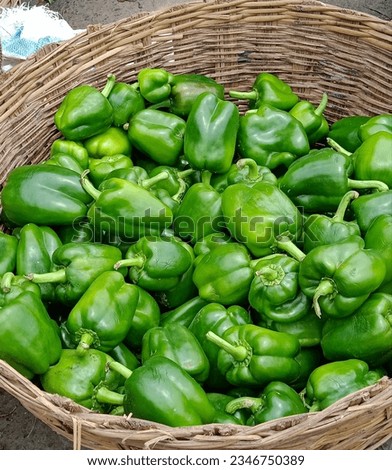 Fresh green healthy capsicum in market.  Royalty-Free Stock Photo #2346750389