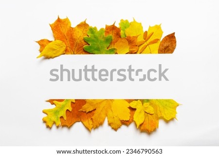 Blank autumn invitation card thanksgiving background. Flat layout fall design autumn leaves border frame. Flat fall leaves invitation design leaves template autumn greeting card fall season background Royalty-Free Stock Photo #2346790563