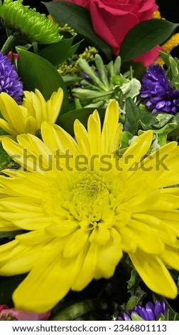 Different kinds of beautiful flower combination. Flowers, picture of flowers, colorful flowers, wedding flowers, decoration and card design.
