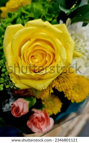 Different kinds of beautiful flower combination. Flowers, picture of flowers, colorful flowers, wedding flowers, decoration.