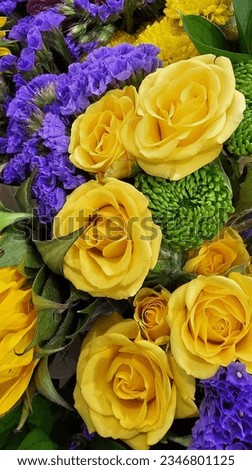 Different kinds of beautiful flowers combination. Flowers, picture of flowers, colorful flowers, beautiful , party picture, wedding, decoration and card design.