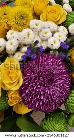 Different kinds of beautiful flower combination. Flowers, picture of flowers, colorful flowers, beautiful, party picture, wedding flowers, decoration with flower.