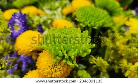 Different kinds of beautiful flower combination. Flowers, picture of flowers, colorful flowers, beautiful, party picture, wedding, flower decoration.