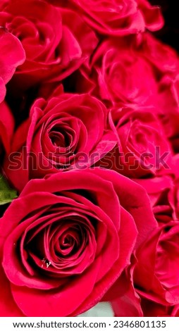 Different kinds of beautiful flower combination. Flowers, picture of flowers, colorful flowers, beautiful, party picture, wedding, flower decoration, red roses.