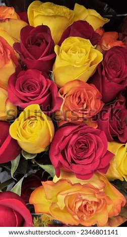 Different kinds of beautiful flower combination. Flowers, picture of flowers, colorful flowers, wedding flowers, rose flower decoration.