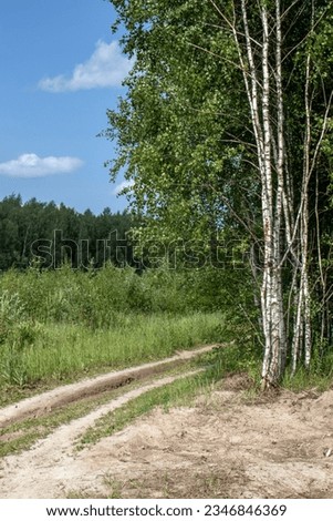 Rural road on the edge of the forest. A dirt road runs through the forest. Rural road near the forest on a sunny day in summer. Royalty-Free Stock Photo #2346846369