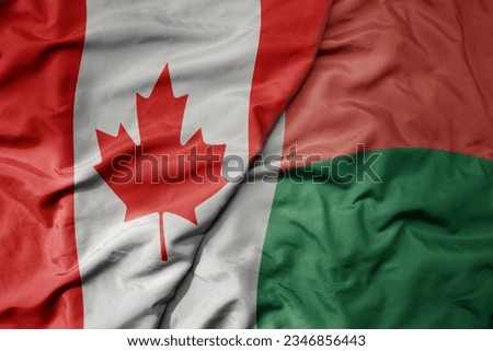 big waving realistic national colorful flag of canada and national flag of madagascar . macro