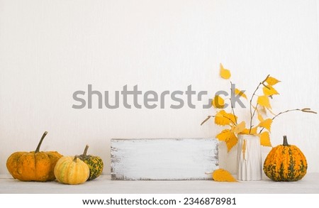 Thanksgiving background. Mockup with pumpkins and fall leaves over white wall with copy-space.