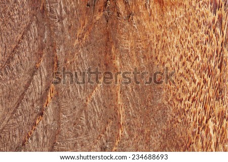 Coconut wood polished texture smooth background.