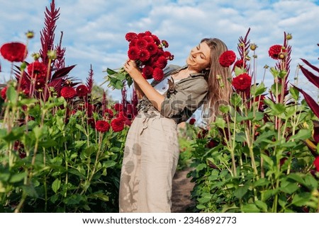 Portrait of young gardener holding bouquet of red pompom dahlias on rural flower farm at sunset. Happy woman picking flowers. Summer harvest Royalty-Free Stock Photo #2346892773
