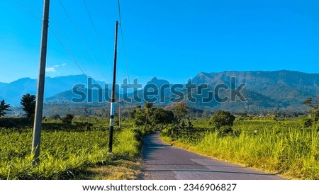 The photo captures a majestic mountain, standing tall and proud in the distance. The mountain is covered in lush greenery, creating a vibrant and refreshing scene. 
