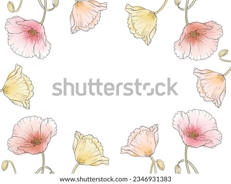 Clip art of poppy flower, poppy illustration