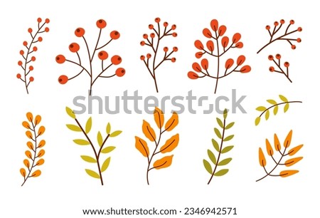 Colorful set of different branches with leaves, red berries isolated on a white background. Vector illustration Royalty-Free Stock Photo #2346942571