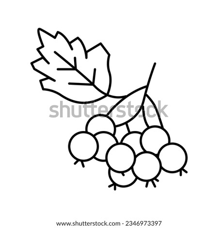 hawthorn berry line icon vector. hawthorn berry sign. isolated contour symbol black illustration Royalty-Free Stock Photo #2346973397