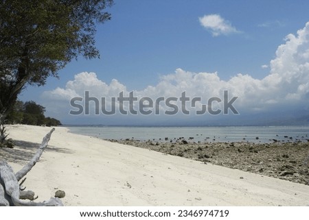 photo illustration of a landscape of dry wooden trees on the edge of a beautiful white sandy beach