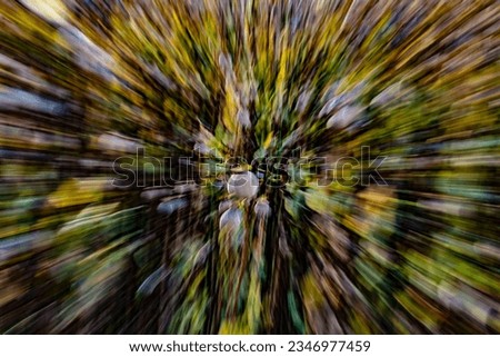 abstract photography of dry head of poppy seed flower