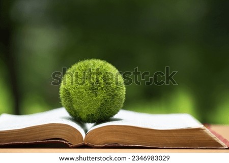 Environment Law. Green globe placed on a law book. law for principles of sustainable environmental conservation.environmental protection and eco-friendly legislation law. Save Earth. SDGs.