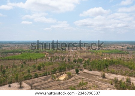 Aerial top view of fresh paddy rice, green agricultural fields in countryside or rural area in Asia, Thiland. Nature landscape