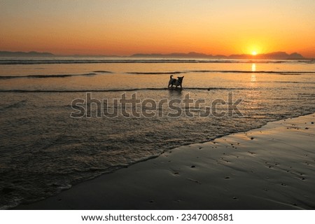 Beautiful sunset at Strand with people relaxing on the beach