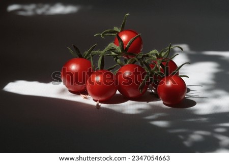 branch of red cherry tomatoes on the table