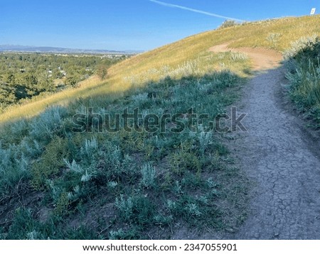 Visible hiking trail through meadow in a mountainous landscape