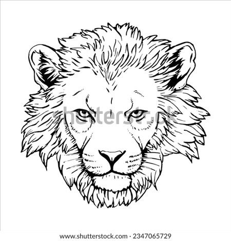 Portrait of Lion. Hand-drawn illustration. Vector