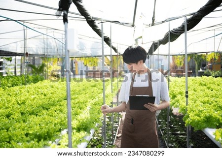 Asian man farmer looking organic vegetables and holding tablet and chart  for checking orders or quality farm