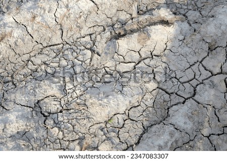 background dried earth in cracks