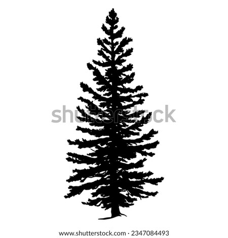 Douglas Fir tree silhouette. Vector illustration Royalty-Free Stock Photo #2347084493