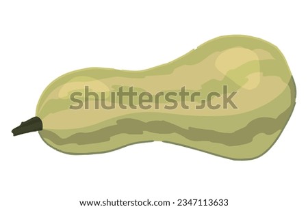 Clipart of zucchini. Doodle of autumn agricultural harvest. Cartoon vector illustration isolated on white background.