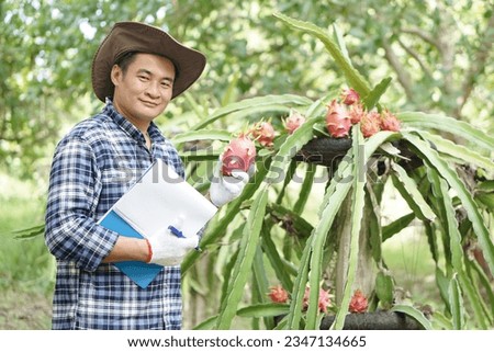 Asian man gardener is inspecting growth and plants diseases in dragon fruits garden. Concept, agriculture study or research to solve or develope crops to be high quality before selling .              