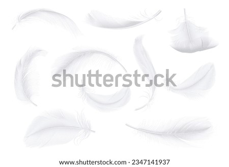 Plumage of birds, goose or chicken, realistic illustration collection. Isolated flying soft and pure feathers, nature and wilderness. Fluffy plumelets with fluff from wings of bird animals Royalty-Free Stock Photo #2347141937