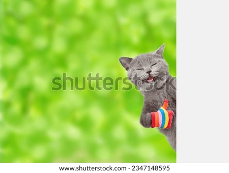 Funny cat wearing summer hat looks from behind empty white banner at summer park and shows thumbs up gesture