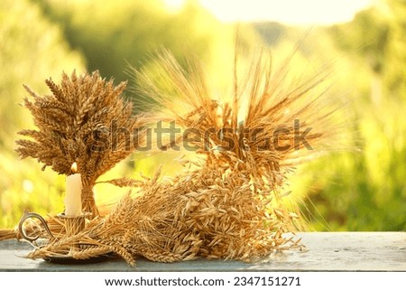 Ripe grain ears and candlestick close up on table, abstract natural background. symbol of harvest, crop. summer, autumn season. ritual for Lammas, Lughnasadh, Mabon wiccan holiday. template for design Royalty-Free Stock Photo #2347151271