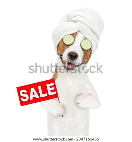 Funny jack russell terrier puppy with towel on it head and with a piece of cucumber on it eyes shows signboard with labeled "sale". isolated on white background