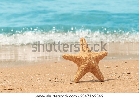 Summer concept close up of a golden starfish standing upright on a sandy beach with a sparkling blue wave in the background

