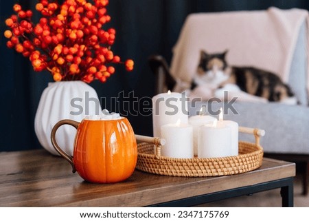 Closeup pumpkin shaped cup of hot drink with marshmallows, flower vase, burning candles on coffee table with blurred relaxed cat on the armchair. Autumn, fall cozy mood composition of hygge home mood. Royalty-Free Stock Photo #2347175769
