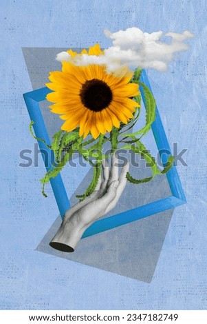 Photo cartoon collage picture of arm putting beautiful flower photo frame isolated blue color background