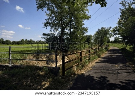 Paved  path next to a creek and a field bordered by trees on a sunny day in the italian countryside