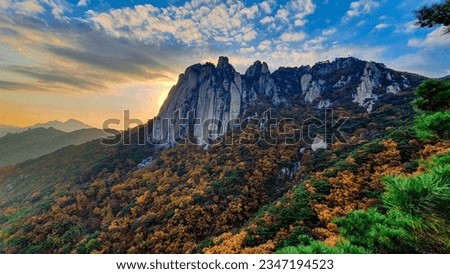 autumn leaves on the mountains where there is work