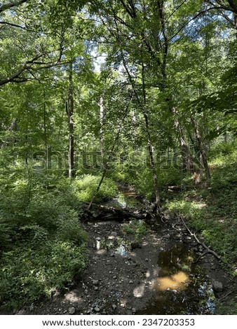 A hidden stream along the trail