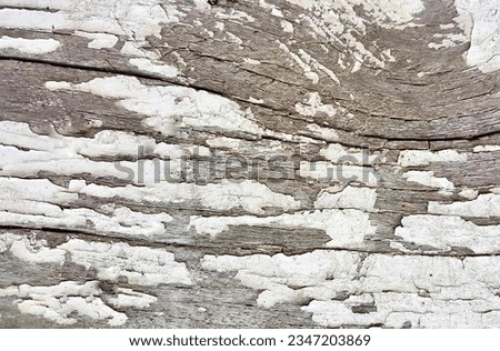 a photography of a close up of a wood surface with peeling paint, cliff dwelling with peeling paint and wood grained surface.
