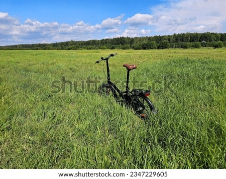 A bicycle for walking stands in the green grass in a field near a forest on a sunny summer day