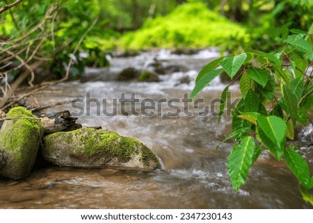 moss plant growing on rock with trees leaves on waterfall stream to clear water in green jungle garden or forest on nature wild at Ka Teng Cheng Khao Laem National Park for landscape background Royalty-Free Stock Photo #2347230143