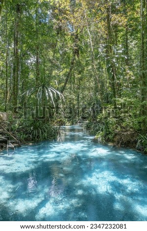 The Kali Biru or Blue River on Waigeo island, Raja Ampat, West papua, Indonesia Royalty-Free Stock Photo #2347232081
