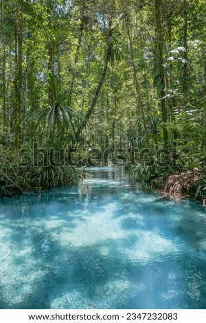 The Kali Biru or Blue River on Waigeo island, Raja Ampat, West papua, Indonesia Royalty-Free Stock Photo #2347232083