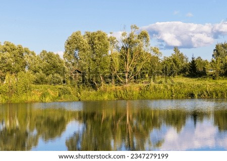 Landscape shot of the pond
