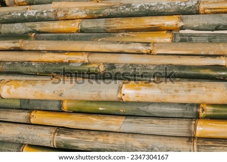 Natural bamboo close-up. Wooden bamboo background