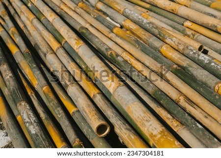 Large bamboo for close-up construction