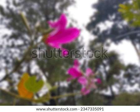 Blurred Image of Flower Blooming in Nature's Beauty for Background